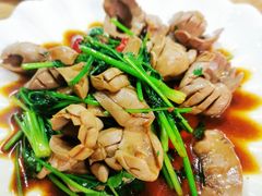 香菜拌猪腰-聪辉同安老美食饭店(大元路店)