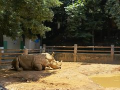 -昆明动物园