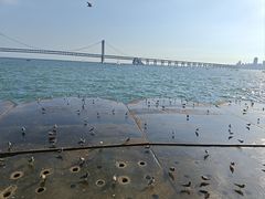 -星海湾跨海大桥