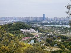 -苏州上方山国家森林公园