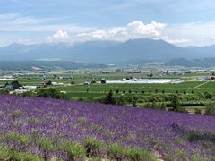 -富田农场