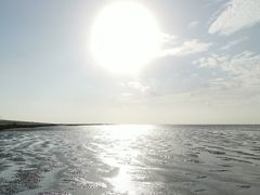 -南汇新城海滩