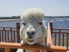 -南大港湿地风景区