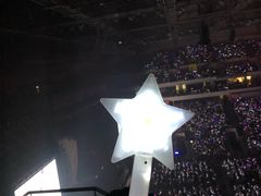 场馆-南京奥林匹克体育中心-体育馆