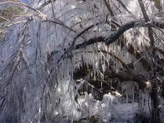 -太子岭滑雪场