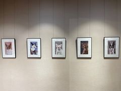 -淮国旧H22·中古店