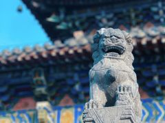 -洛阳白马寺