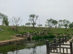 -羊山湖公园