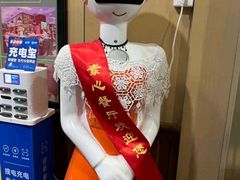 -素心素食(翠苑店)
