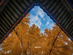 -承恩寺
