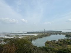 -广州莲花山旅游区