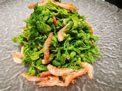 虾皮巧拌夜香花-四季小馆·潤·中国菜(越秀公园店)