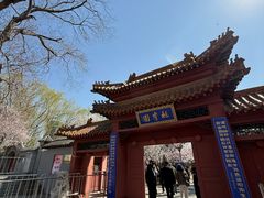 -桃花堤公园