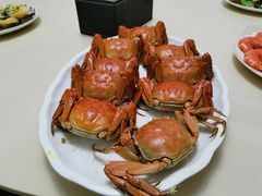 -渝味晓宇·重庆火锅(龙岗龙城万科里店)
