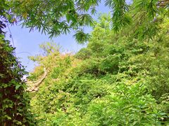 -广州雕塑公园