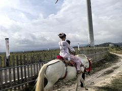 -龙里油画大草原旅游区