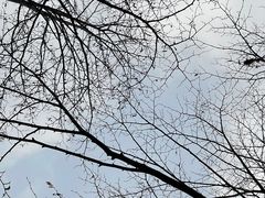 -长春世界雕塑园