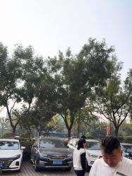 -LJOY丽锦造型·烫发染发