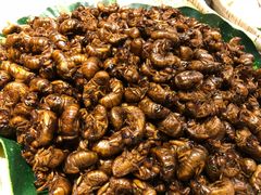 -丁里羊肉小镇(太宁路口店)
