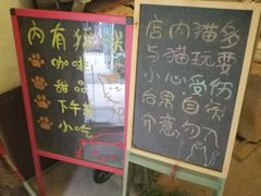 -猫色咖啡·猫咖