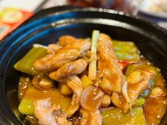 -新兴·金羊座·粤菜点心(乐峰店)