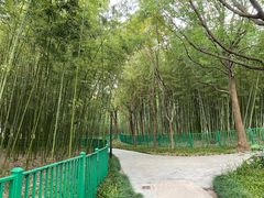 -黄兴公园