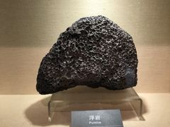 -安徽省地质博物馆