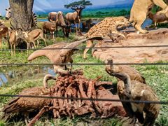 -国家自然博物馆