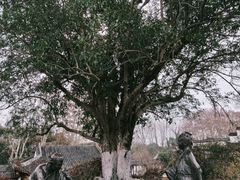 -采石矶景区