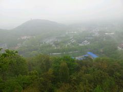 android_upload_pic-上海佘山国家森林公园西佘山园