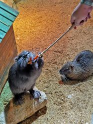 -酷嗒动物文化乐园(cutezoo西溪乐天城店)