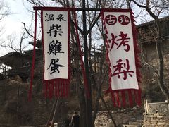 -古北烤梨