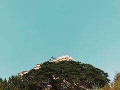 -网红落日悬崖餐厅 The Sky Gallery