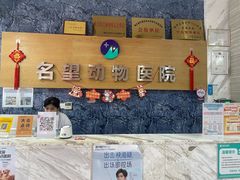 -瑞派名望志远动物医院·猫科·內科·异宠专科(直港大道店)