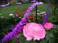 -深圳国际园林花卉博览园