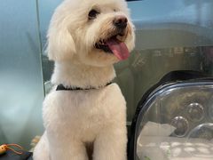-PETKIT小佩宠物(昭化店)