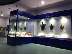 -福州罗源湾海洋世界旅游区