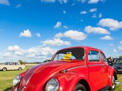 -肯德基(中纬店)