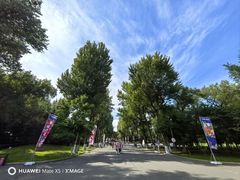 -哈尔滨文化公园