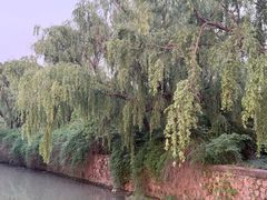 -上海交通大学(闵行校区)