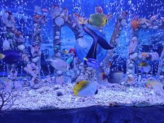 -太平洋海底世界