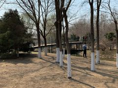 -长白岛森林公园