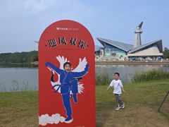 -盐城丹顶鹤湿地生态旅游区