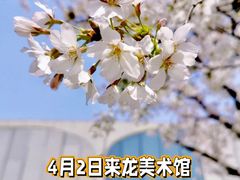 -龙美术馆(西岸馆)