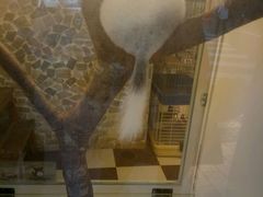 -龙猫仔乐园(惠福东路店)