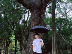 -人民公园(罗湖区)