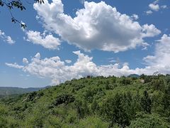 -白水寺森林公园