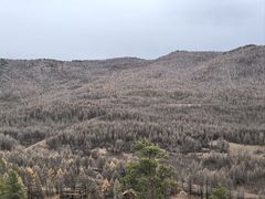 -莫尔道嘎国家森林公园