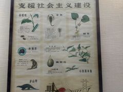 -广东中医药博物馆