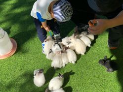 -萌宠亲子动物乐园(槐房万达店)